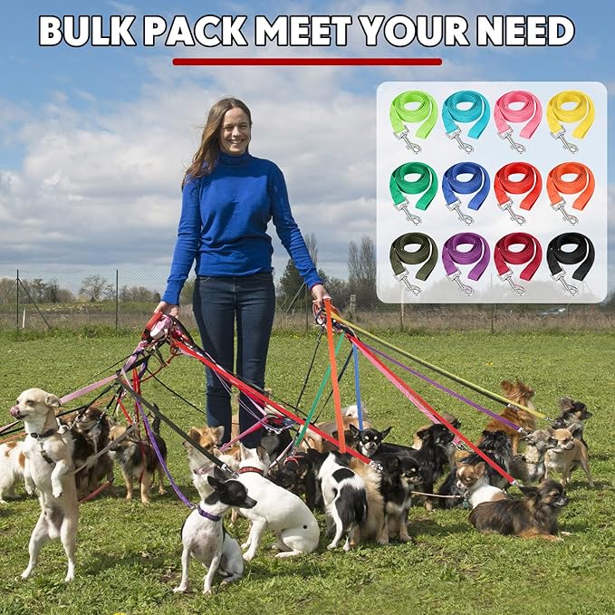 Hillban 36 Pcs Dog Leash Bulk 5 ft Multicolored Puppy Training Leash Slip Pet Traction Nylon Rope for Small Medium Dogs Agility, Yard, Camping, Backyard Play(12 Colors)