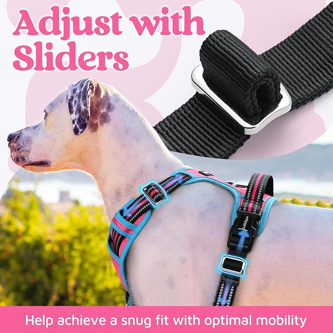 rabbitgoo Dog Harness Small Sized, No Pull Dog Vest with 3 Buckles, Adjustable Soft Padded Pet Harness with Easy Control Handle and Reflective Strips, Rose Pink & Blue, S