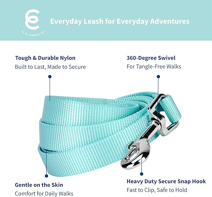 Blueberry Pet Essentials Mint Blue Dog Leash for X-Small -5' * 3/8" Dogs | Heavy Duty Nylon Lead | Lightweight Puppy & Cat Leash for Walking & Training