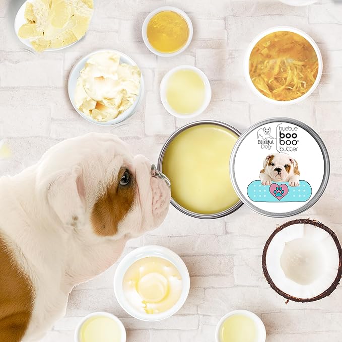 The Blissful Dog 8 oz TIN Bulldog Booboo Butter
