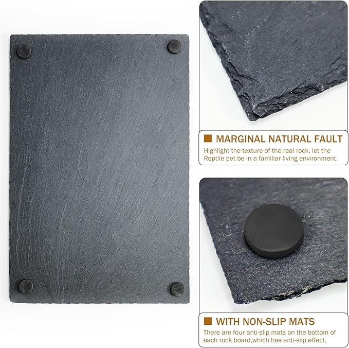 Tortoise Habitat basking Rock Feeding Dish Bearded Dragon/Lizard Original Rock Slab,Easy to Grind The Nails,with Non-Slip mats,Natural Food Bowl,Moisturizing Effect(Large- Size)