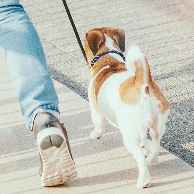 Red White Polka Dots Navy Blue Dog Collar Cat Big Neck Collars Soft for Small Extra Large Heavy Duty Pet Dogs