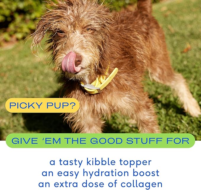 Native Pet, Dogs & Cat Broth Bundle | Chicken & Beef Flavored | Dog Food Topper for Picky Eater | Dog Gravy & Dog Bone Broth Powder