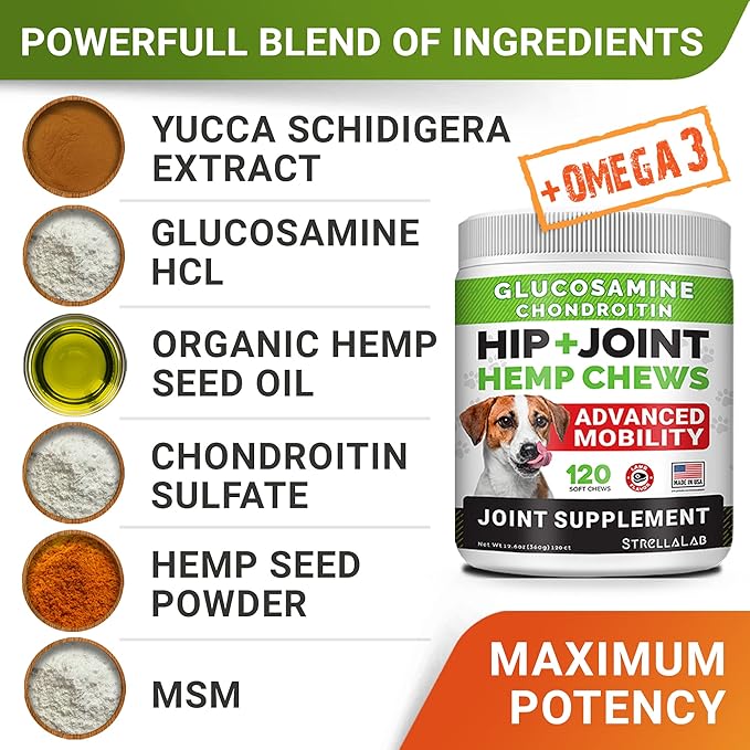 Large Breed Hemp + Glucosamine Dog Joint Supplement - Hemp Chews for Dogs Hip Joint Pain Relief - Omega 3, Chondroitin, MSM - Advanced Mobility Hemp Oil Treats for Large Dogs - Made in USA - 240 Ct