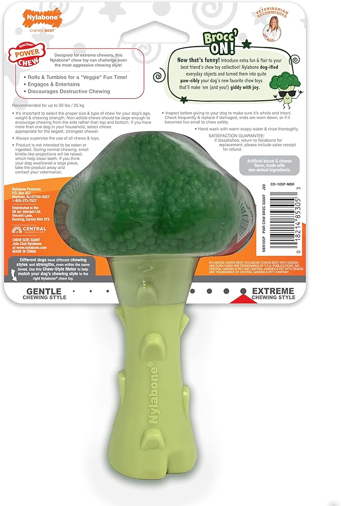 Nylabone Broccoli Power Chew Toy for Dogs, Dog Toys for Aggressive Chewers, Bacon & Cheese Flavor, Large Dogs - Up to 50 lbs, 1 Count