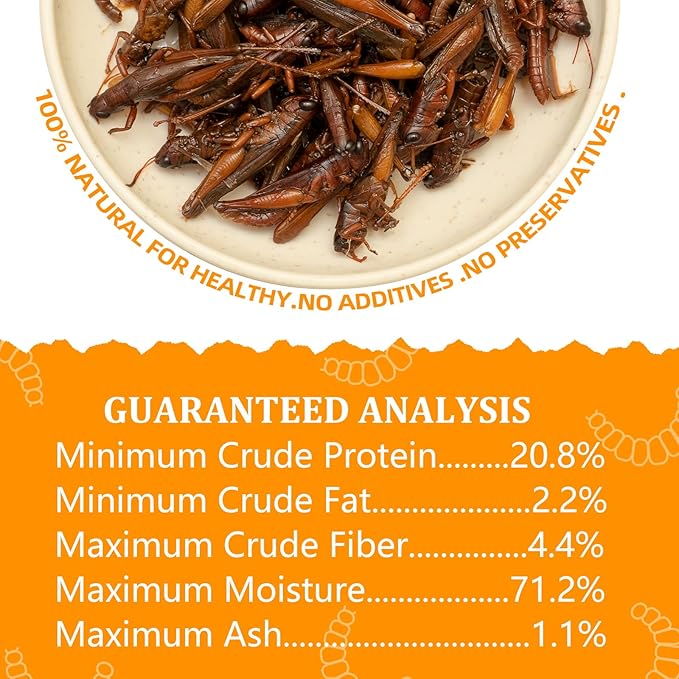 6 Pack Canned Small Grasshoppers for Reptiles, Fish, Birds and Small Animals, Grasshoppers, Healthy High Protein Treat, Bearded Dragon Food 1.2 Ounces Each