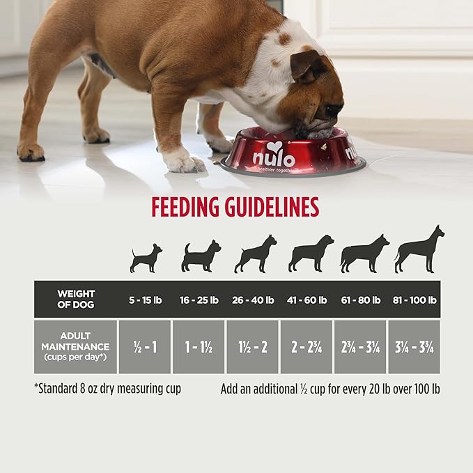 Nulo Frontrunner Ancient Grains High-Protein Dog Food, Chicken, Oats, & Turkey Recipe- Natural Dry Dog Food with Probiotics, Grain-Inclusive Kibble for Adult Dogs, 5 lb Bag