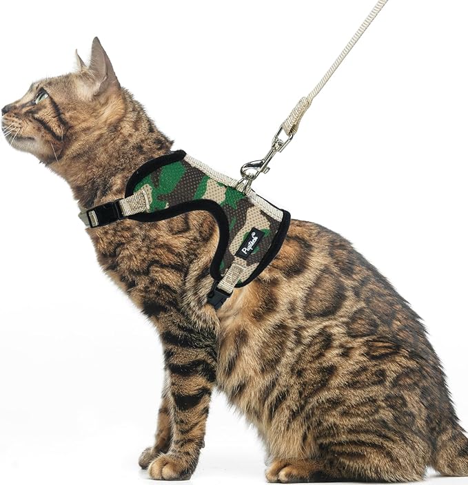 PUPTECK Cat Harness and Leash Set Escape Proof, Reflective Adjustable Soft Mesh Kitten Vest Harness for Walking Travel, Camouflage, M