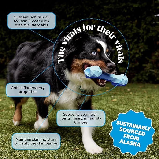 Omega 3 Fish Oil for Cats & Dogs (16oz), Wild Caught Omega 3 Fish Oil for Dogs Skin and Coat Supplement, Supports Shedding, Skin & Coat, Immunity, Joint, Brain & Heart, EPA + DHA