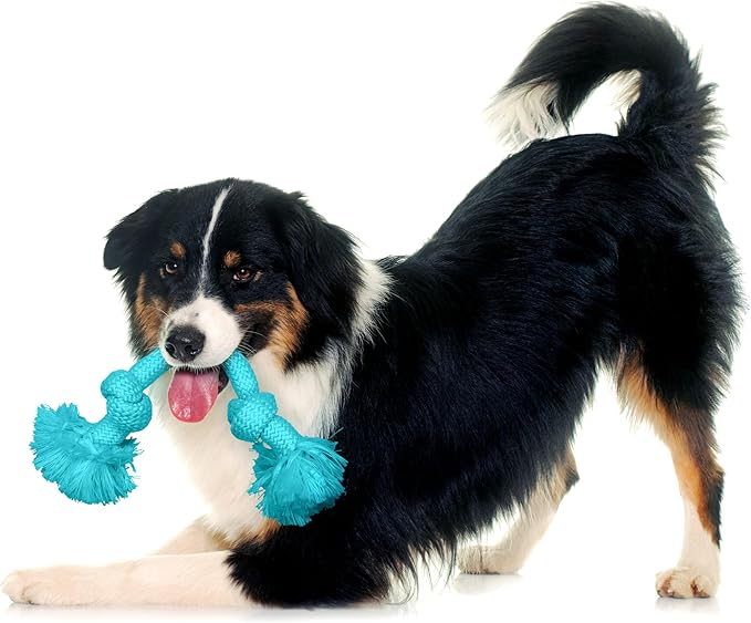 Playology Dog Toys | Dri-Tech Rope Toy Tug of War Rope for Aggressive Chewers | Medium Peanut Butter Scented Toy - Easy to Clean and Made from Non Toxic Materials