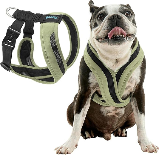 Gooby Comfort X One Dog Harness - Head-in Dog Harness for Small & Medium Sized Dogs - Escape-Free & Choke Free - Breathable Mesh, Shock Absorbing, Easy Snap & Swivel Buckles - Portland Green, X-Small