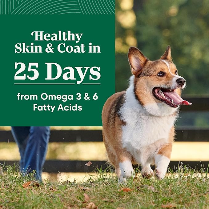 Nutro Natural Choice Lamb & Brown Rice Adult Small Bites Dog Food Recipe, 12 lb. Bag