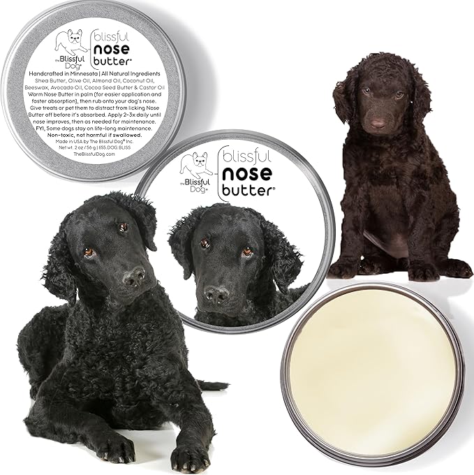 The Blissful Dog Curly-Coat Retriever Unscented Nose Butter, 1-Ounce