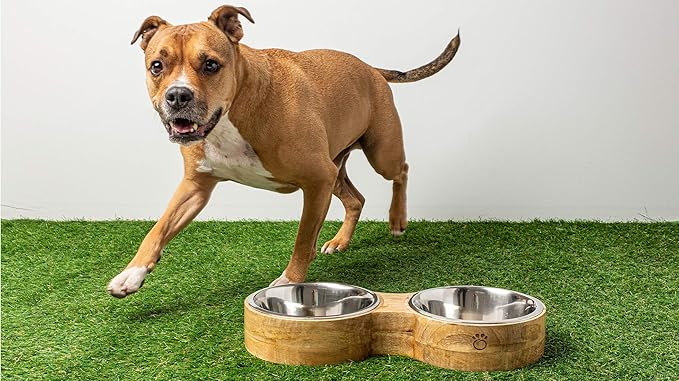 Luxury Elevated Dog Bowl Set - Mango Wood Stand with 2 Stainless Steel Food & Water Bowls - Raised Pet Feeder with Non-Slip Base, Modern Design for All Dog Sizes, Small 10oz