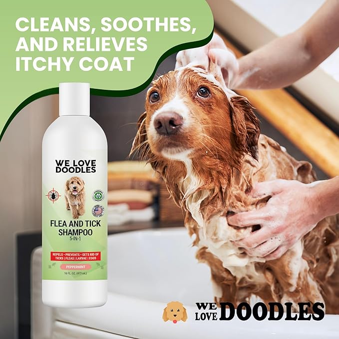 We Love Doodles Flea Shampoo for Dogs - Stops Fleas & Ticks for Dogs, Natural, Safe & Effective Lice Treatment, Soothing Shampoo for Sensitive Skin, Made in USA, 16 oz