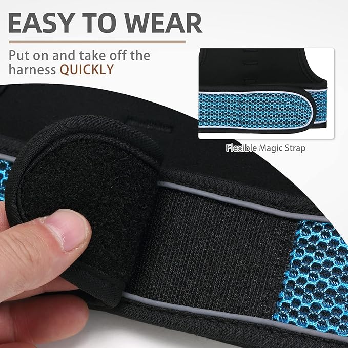 PUPTECK Soft Mesh Cat Vest Harness and Leash Set Puppy Padded Pet Harnesses Escape Proof for Cats Small Dogs (Large, Lake Blue)