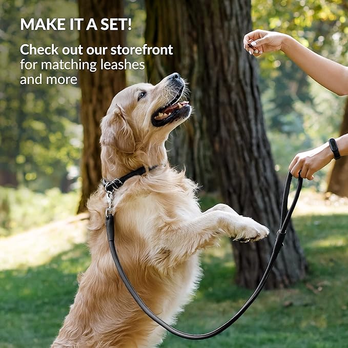 CollarDirect Rolled Leather Dog Collar, Soft Padded Round Puppy Collar, Handmade Genuine Leather Collar Dog Small Large Cat Collars 13 Colors (11-14 Inch, Black Smooth)