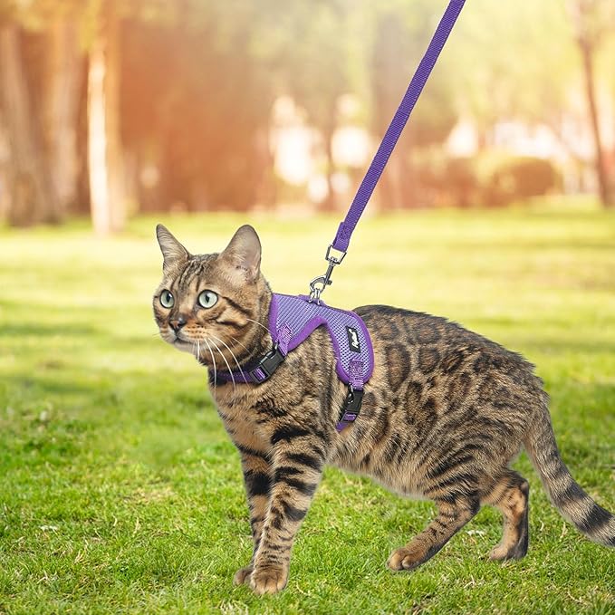 PUPTECK Cat Harness and Leash Set Escape Proof, Reflective Adjustable Soft Mesh Kitten Vest Harness for Walking Travel, Purple, M