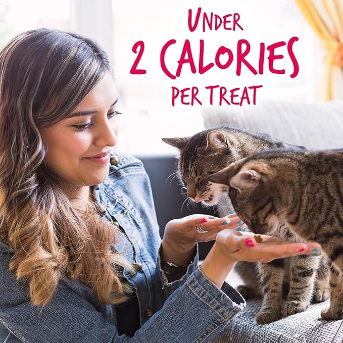 Fruitables Cat Crunchy Treats For Cats – Healthy Low Calorie Packed with Protein – No Wheat, Corn or Soy – Made with Real Salmon with Cranberry – 2.5 Ounces