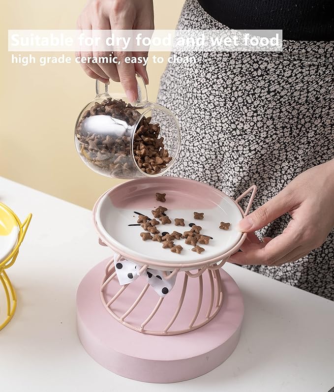 Raised Pet Food and Water Bowl, Cat and Small Dog Bowl, Tilted Ceramic Cat Water Bowl No Spill,15oz, Dishwasher Safe