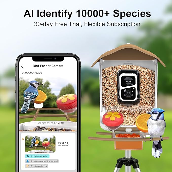 birdsnap® PAV- Smart Bird Feeder with Camera Solar Powered, 64GB Card & 2K HD Record Video Bird Camera Live with 5 DIY Add-ons, AI Identify Auto Capture, Ideal Gift for Birds Lover