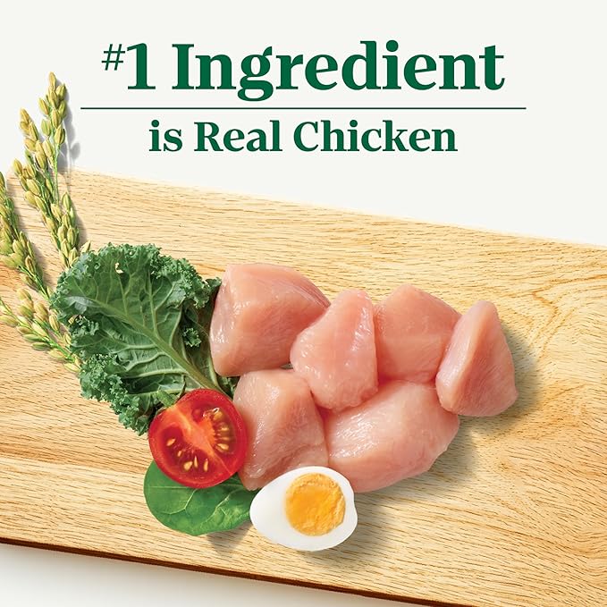 Nutro Natural Choice Chicken & Brown Rice Adult Large Breed Dog Food Dry Recipe, 13 lb. Bag