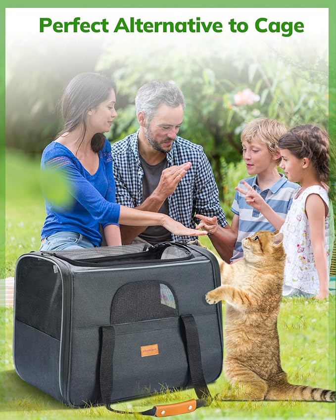Morpilot Pet Travel Carrier Bag, Soft-Sided Dog Carrier Cat Carrier Pet Carrier (18 x 12.5 x 14 Inches), for Large Cats and Medium Puppies, w/Locking Safety Zippers, Foldable Bowl