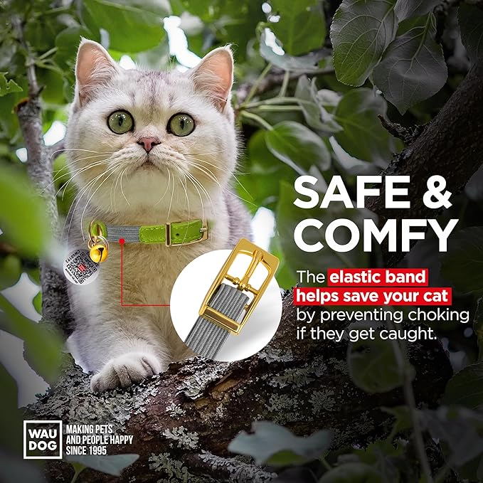 WAUDOG Ultra Soft Rolled Leather Cat Collar with Removable Bell, Safety Elastic Strap and QR ID Tag - Soft Padded for Small, Medium, and Large Cats - Round Kitten Collar for Male and Female Cats