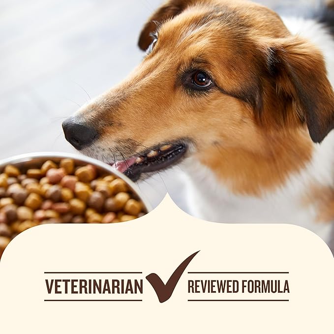 Nutrish Gentle Digestion Real Lamb, Pumpkin & Chicken Recipe Chunks in Gravy Wet Dog Food, 13 oz. Can, 12 Count (Rachael Ray)