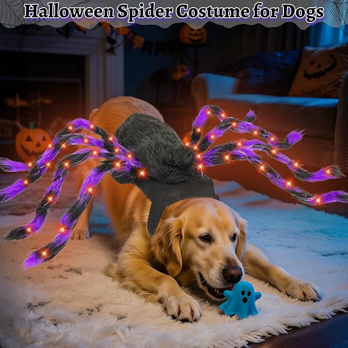 Light-Up Halloween Spider Dog Costume with Orange LED Lights, Purple & Black Furry Spider Costumes for Pets, Funny Halloween Costume Outfit for Cosplay Party (XL)