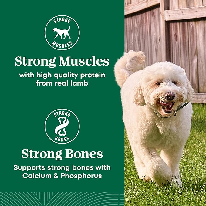 Nutro Natural Choice Lamb & Brown Rice Senior Dog Food Dry Recipe, 30 lb. Bag