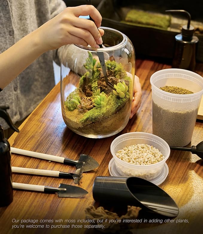 Terrarium Kit with Grow Light, Succulent Plants, Mini Gardening Set - Includes Jar, Tools, Moss, Rocks, Driftwood & Decor