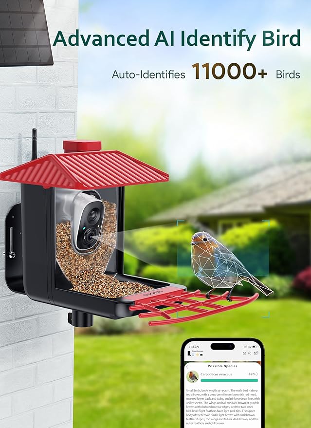 Osoeri Bird Feeder with Camera, Smart AI Identify Wild Bird Feeders Camera, 1080P Auto Capture Bird's Video & Motion Detection, with DIY Add-ons & Hummingbird Feeder, Gifts for Bird Lover (Red Black)