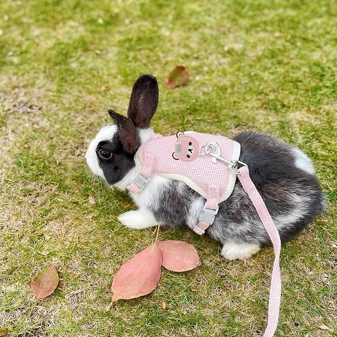 2-Pack Rabbit Harness and Leash Set – Adjustable Small Animal Vest Harness with Safety Buckle – Breathable & Lightweight – Ideal for Rabbits, Ferrets, Guinea Pigs, and Cats (Pink)