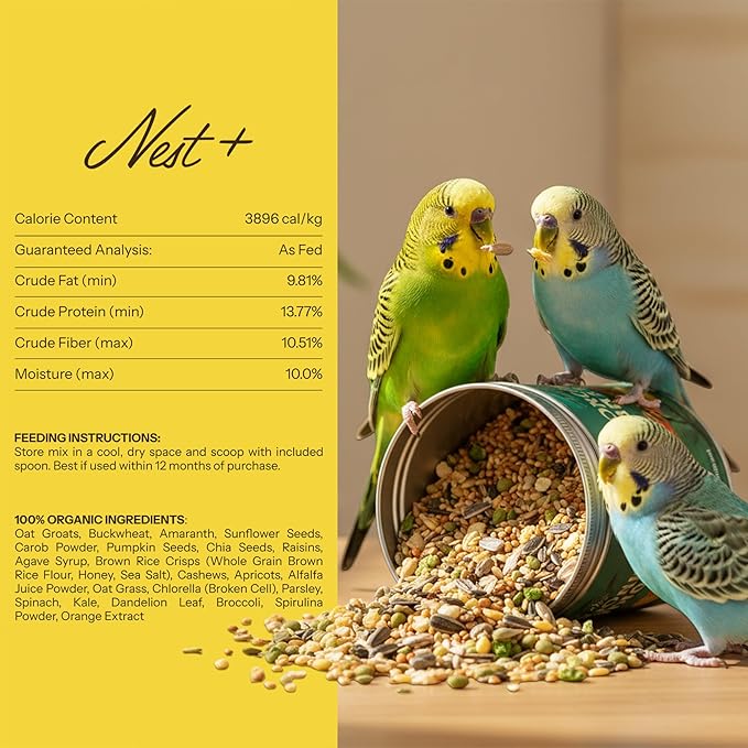 Premium Bird Seed Parakeet Food | Organic Parakeet Bird Seeds with Oat Groats, Amaranth & Super Veggies | Perfect Bird Food, Pretty Parrot & Budgie Food | Reusable Tin (1lb)