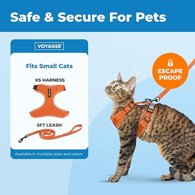 Voyager Escape Proof Cat Harness and Leash Set with Reflective Stitching, Neoprene Handle 5ft - Supports Small, Medium and Large Cats, Kittens for Walking by Best Pet Supplies - Orange, XS