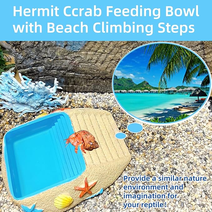 Tortoise Water Bowl,Reptile Water Dish,Resin Bearded Dragon Feeding Bowl with Ramp, Hermit Crab Bathing Pool, Lizard Food Dish Terrarium Decor for Turtle,Gecko,Chameleon,Frog(L)