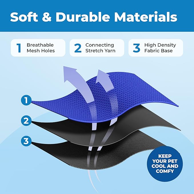 Voyager Escape Proof Cat Harness and Leash Set with Reflective Stitching, Neoprene Handle 5ft - Supports Small, Medium and Large Cats, Kittens for Walking by Best Pet Supplies - BT-Royal Blue, XXS