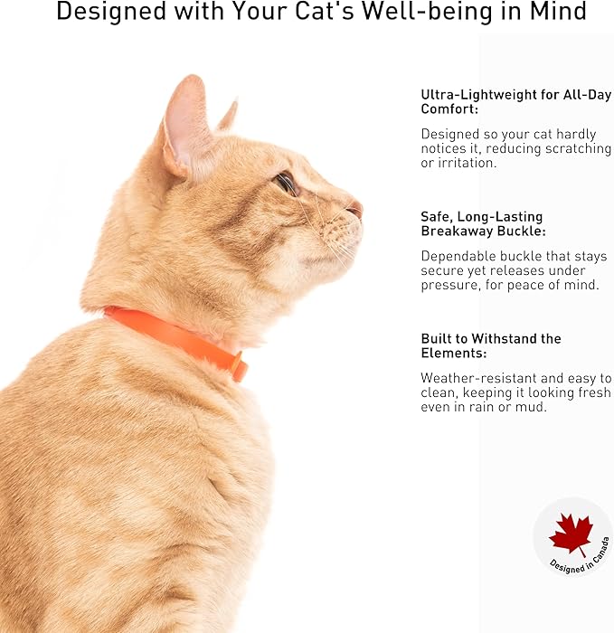 Rubber Cat Collar - Soft, Comfortable, and Lightweight Breakaway Collar with Name Tag Ring for Outdoor Cats and Sensitive Skin Kittens by Nuvuq (6 ⅞" to 10 ¼", Orange)