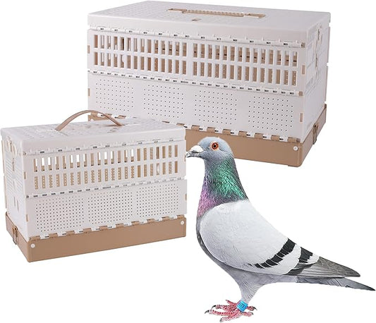Plastic Foldable Pigeon Cage with Handle, Portable Bird Travel Carrier Cage Pigeon Cage Pairing Cage Pigeon Nest Box Easy to Clean for Training and Release Competition(M)(Three Doors)