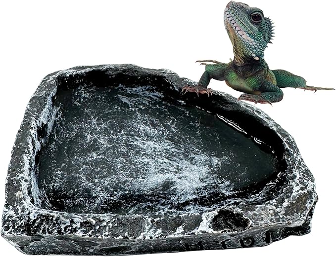 Reptile Water Dish Food Bowl, 3 Pack Reptile Feeding Terrarium Bowls for Bearded Dragon Lizard Frog Gecko Tortoise Hermit Crab Snail (Black)