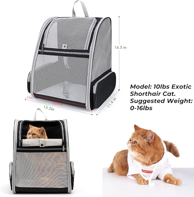 Lollimeow Cat Backpack Carrier, Ideal for Small Animals & Puppies, Airline Approved,Safe for Travel, Hiking, Vet Transport & Outdoor Use Fully Ventilated Design for Ultimate Comfort On-The-Go