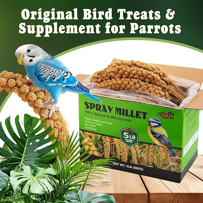 RANZ 5LBS Millet Spray for Birds, GMO-Free, Sun Dried Spray Millet, Original Bird Treats & Supplement for Parrots, Cockatiels, Lovebirds, Painted Buntings and Finches, Parakeets Food