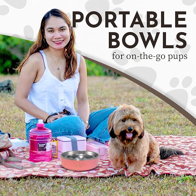 9 Tails Watering Hole- Stainless Steel Dog Bowl, Insulated Dog Bowls, Non Slip, Diswasher Safe, Cats, Dog Food Bowls, Dog Water Bowl, Puppy Dog Bowl for Small Medium Dogs (Pink, 18 oz)