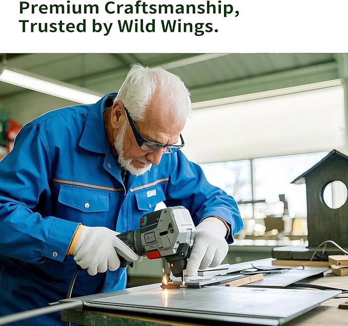 Solution4Patio Green Outdoors Hanging Bird Feeder, All Metal, Double Suet Cake and Large Capacity, Hopper Tray & Weatherproof for Finch, Cardinal & Chickadee #B101E01-US Squirrel-Proof