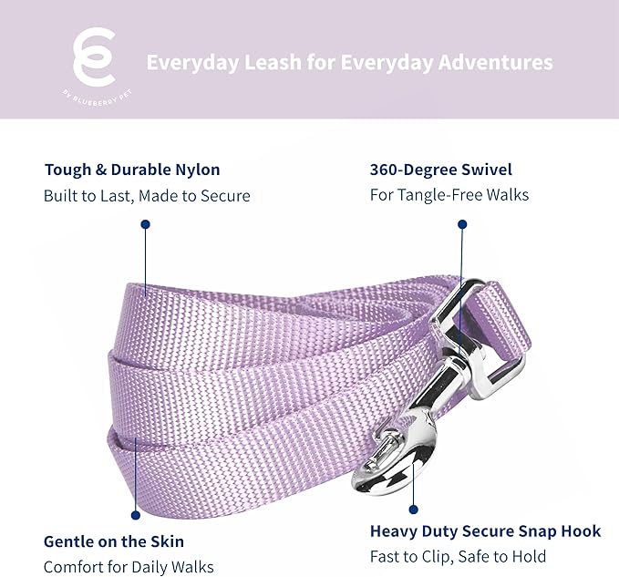Blueberry Pet Essentials 21 Colors Durable Classic Dog Leash 5 ft x 5/8", Lavender, Small, Basic Nylon Leashes for Dogs