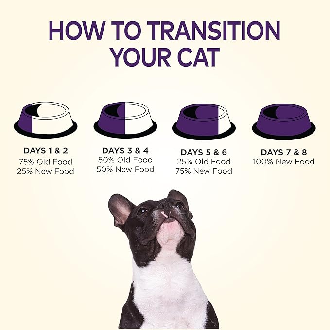 Wellness Natural Pet Food Complete Health Natural Grain Free Dry Dog Food, Chicken, 12-Pound Bag