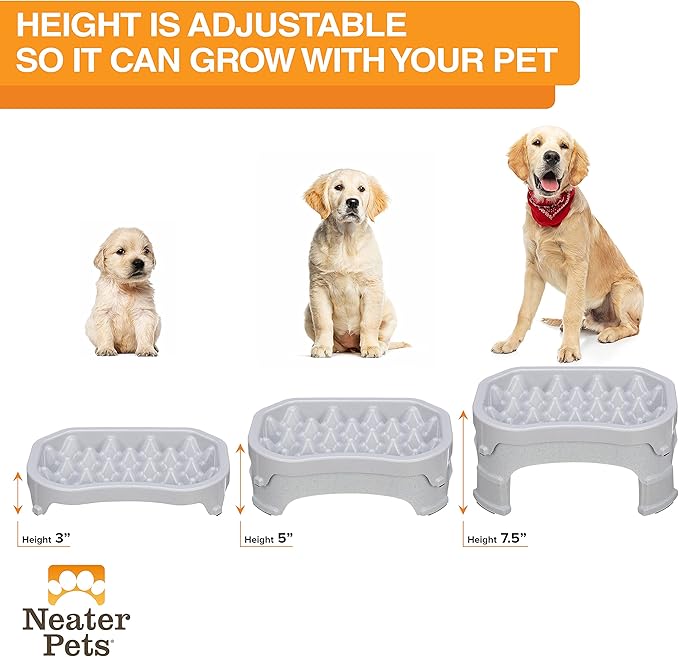 Neater Pet Brands – Neater Raised Slow Feeder Dog Bowl – Elevated and Adjustable Food Height - (6 Cup, Vanilla Bean)