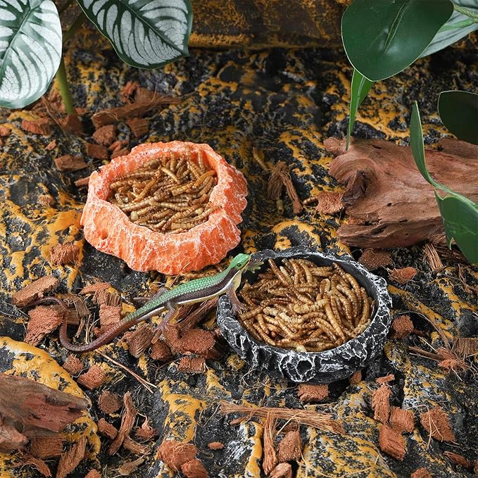 IBWell 2pcs Reptile Water Bowl with Feeding Tweezers - Food Dish for Lizard, Snake, Tortoise & Small Animals - Loess