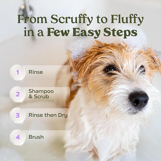 PAWFUME Dog Shedding Shampoo and Conditioner, Royal Lavender, 1-Pack – Nourish & Detangle for Silky Soft Coat – Probiotic, Deep-Cleaning, pH-Balanced – Salon-Quality Shedding Shampoo for Dogs